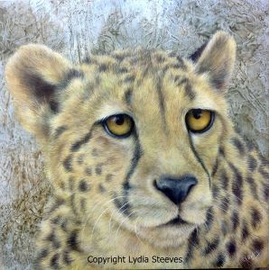 Cheetah 2 Acrylic e-Packet